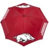 Team Effort 62" Windsheer Collegiate Umbrella